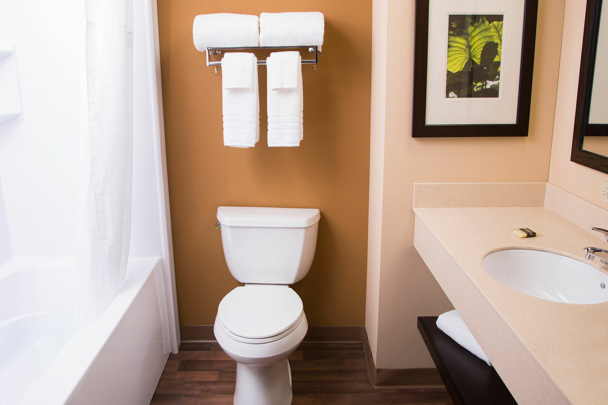 Extended Stay America - Houston - Med. Ctr. - Nrg Park - Fannin St. Exteriör bild